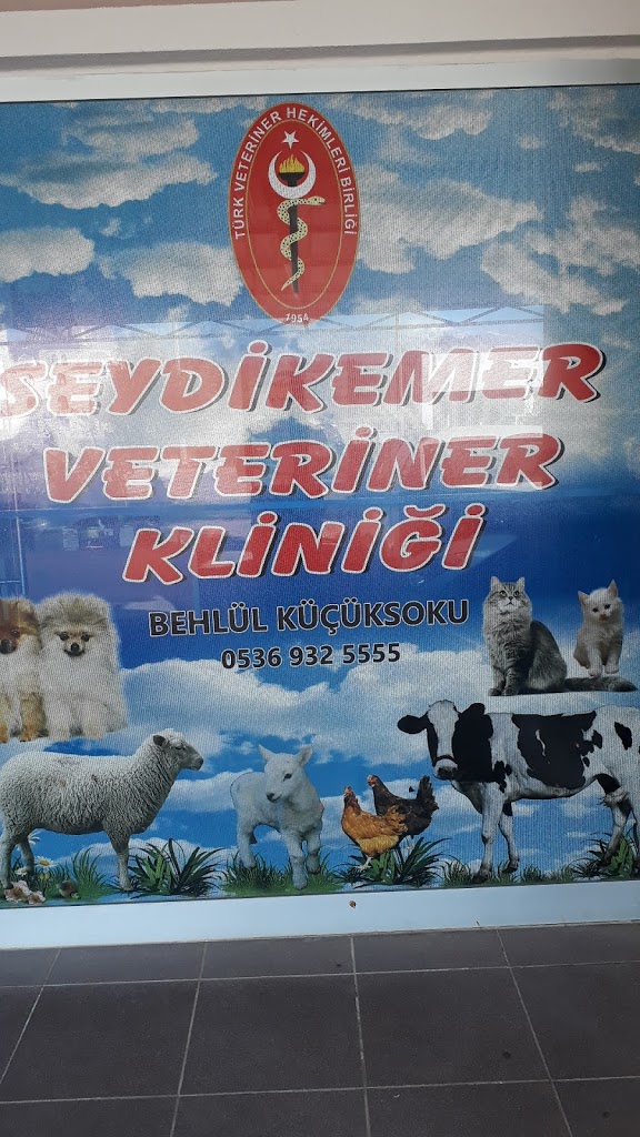 Seydikemer Veteriner Kliniği