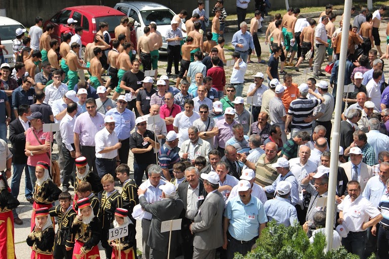 Gelemen Mesleki ve Teknik Anadolu Veteriner Kliniği