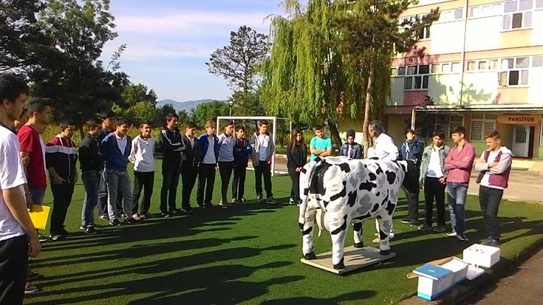 Gelemen Mesleki ve Teknik Anadolu Veteriner Kliniği