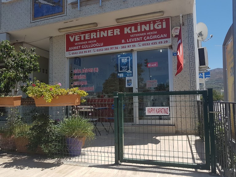 Turgutreis Veteriner Kliniği