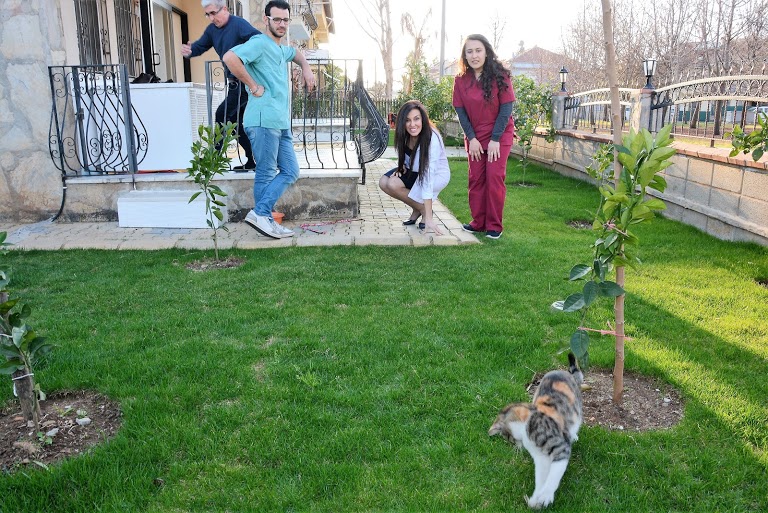 TülinHanım Veteriner Kliniği