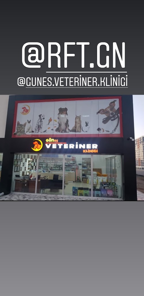 Güneş Veteriner Kliniği RİFAT GÜN Veteriner Kliniği