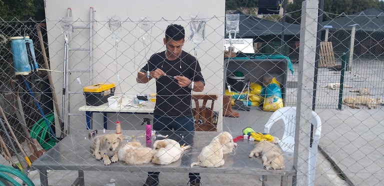 Bambam Veteriner Kliniği