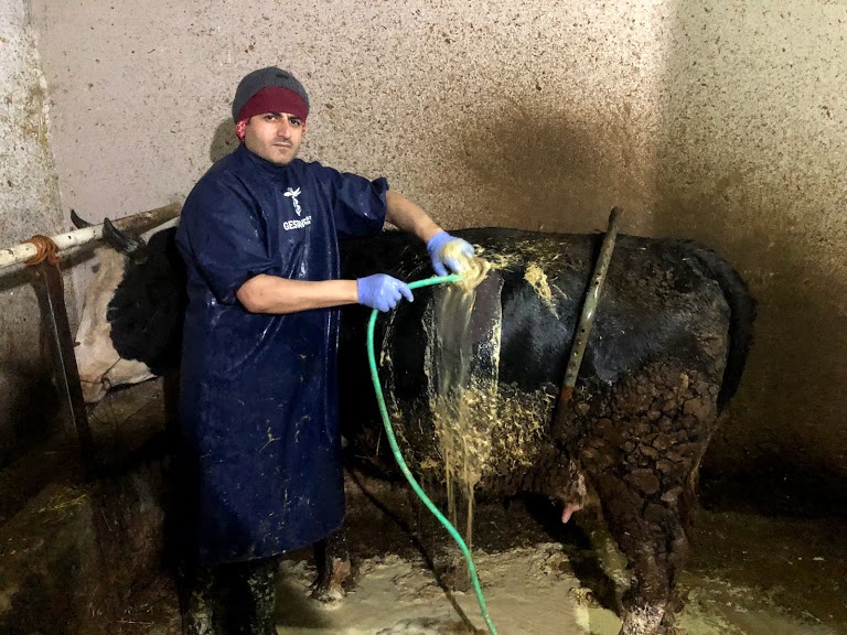 Yavuz YÜKSEL Veteriner Kliniği