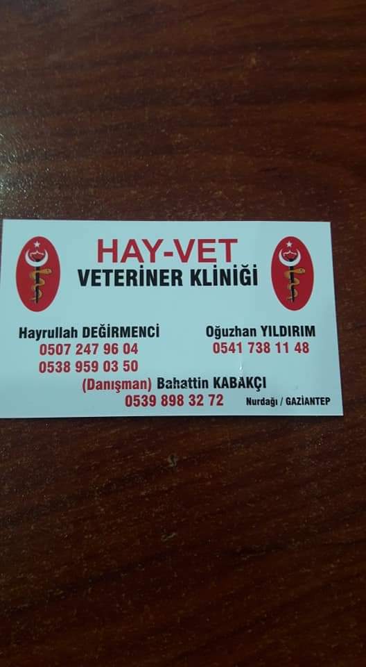 Hay-Vet Veteriner Kliniği