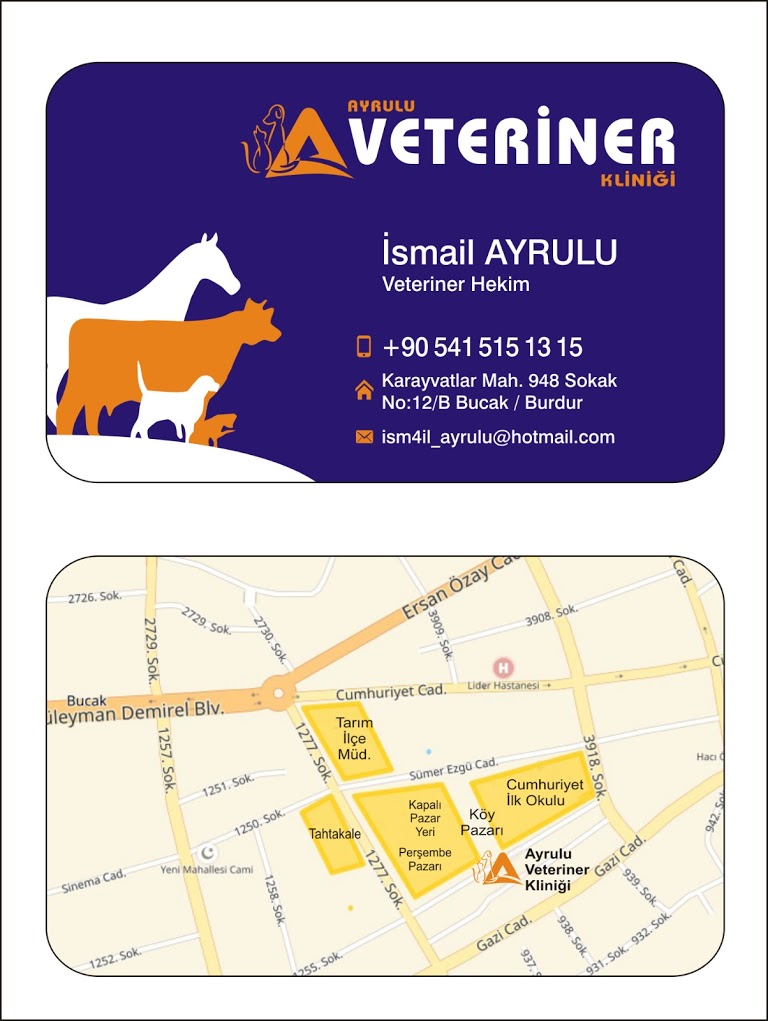 AYRULU Veteriner Kliniği