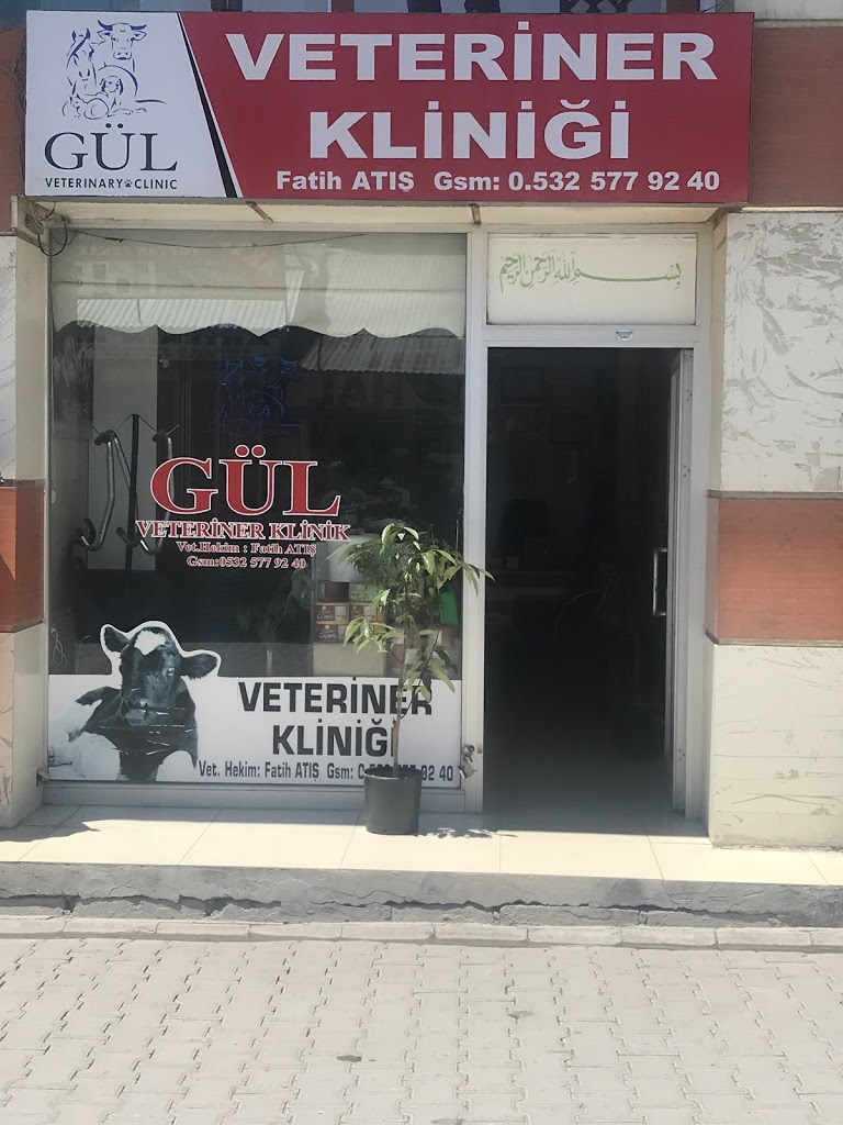 Gül Veteriner Kliniği Vet.hek.fatih Veteriner Kliniği