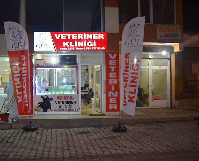 Gül Veteriner Kliniği Vet.hek.fatih Veteriner Kliniği