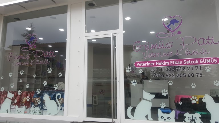 Gümüş Pati Pet Veteriner Tanı ve Tedavi Veteriner Kliniği