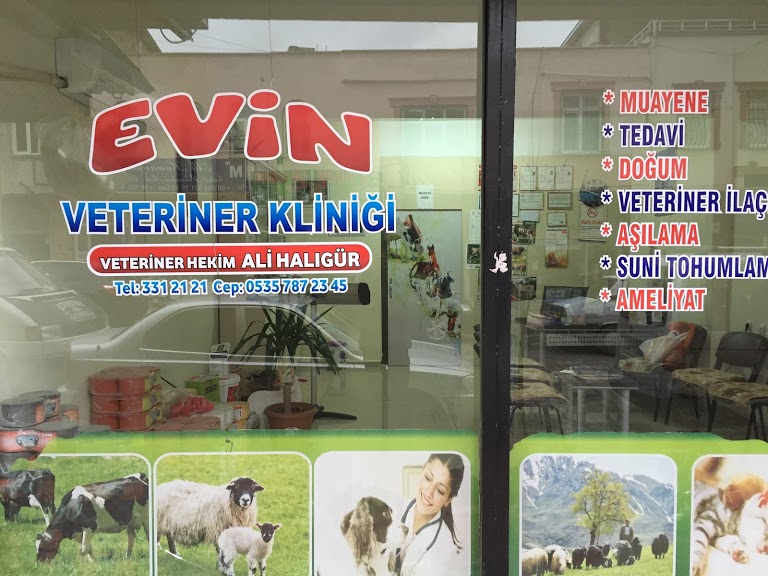 Evin veteriner kliniği