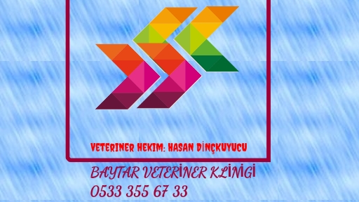 Baytar Veteriner Kliniği