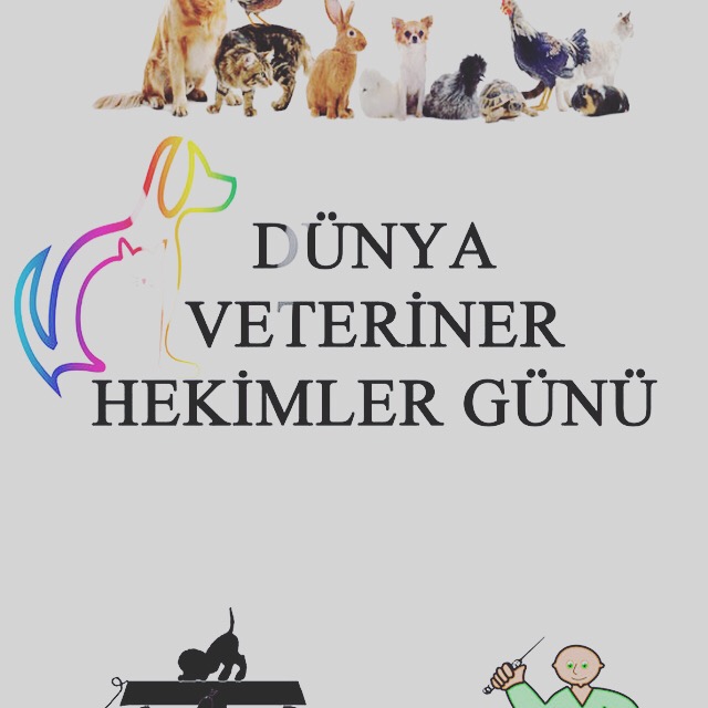 İNCİLİ Veteriner Kliniği