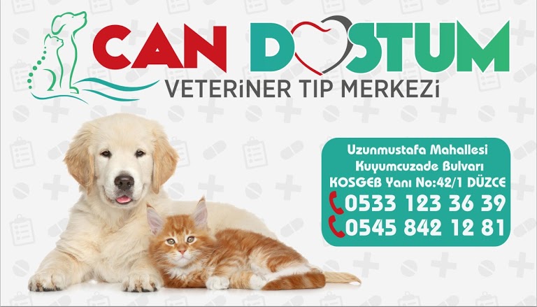 Can Dostum Veteriner Tıp Veteriner Kliniği