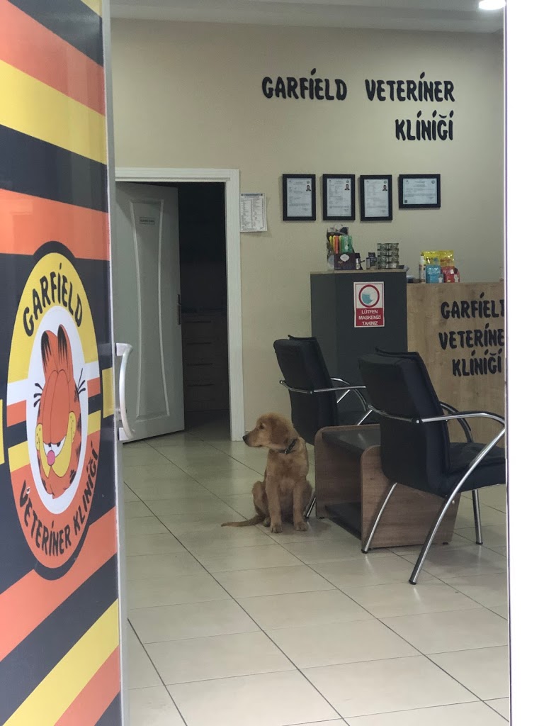 Garfield Veteriner Kliniği | Veteriner Kliniği