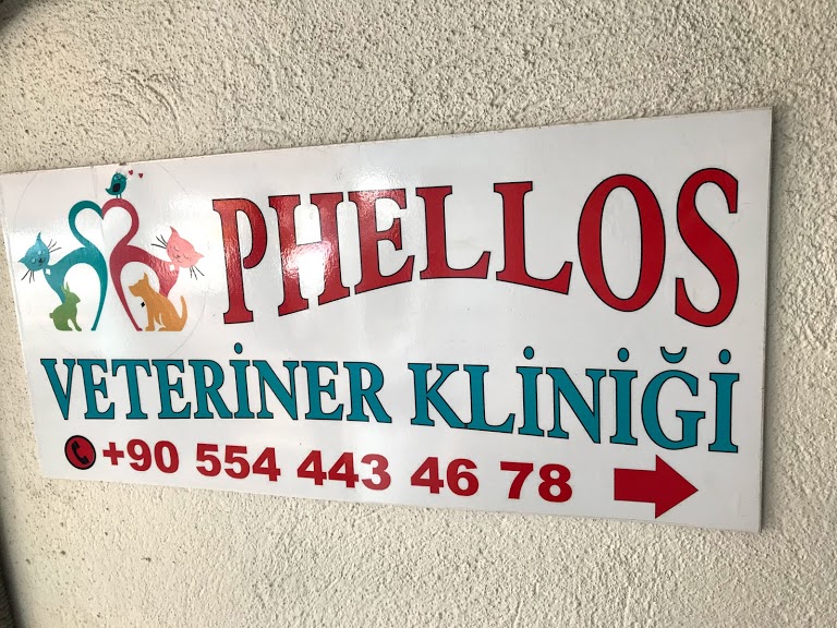 Phellos veteriner kliniği