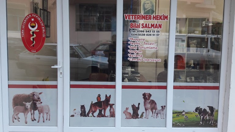 Doğanyurt Veteriner Kliniği