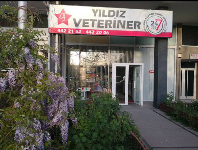 Yıldız Veteriner Kliniği