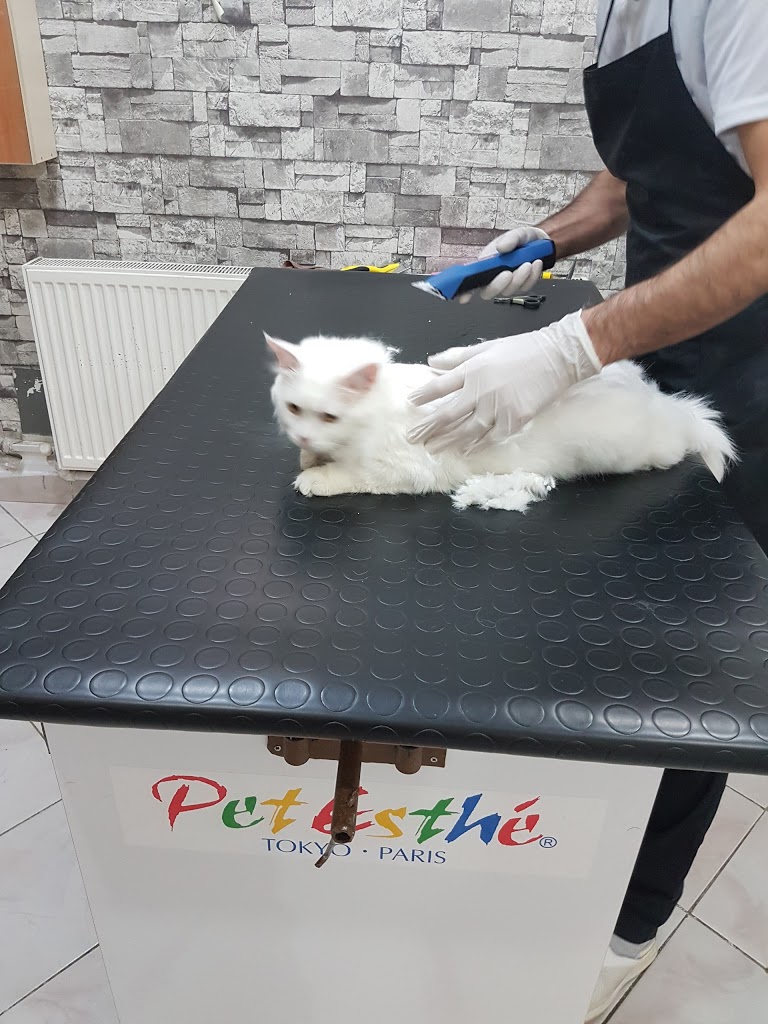 PATİPET - BAKIM, PET KUAFÖR, PANSİYON, MAMA Pet Kuaförü