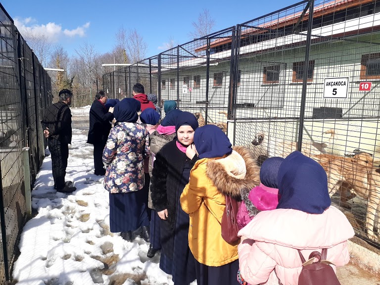 Düzce Belediyesi Sokak Hayvanları Rehabilitasyon Merkezi ve Geçici Veteriner Kliniği