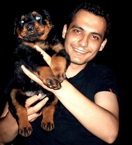 efe``s Erkek Rottweiler