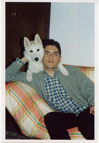 ice Dişi Sibirya Kurdu (Husky)