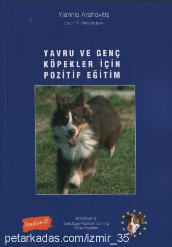 eğitim Dişi Sokö (Sokak Köpeği)