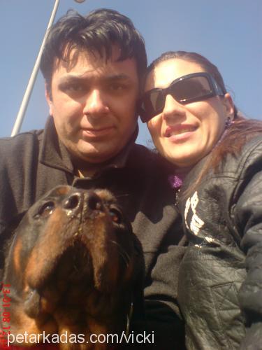 vicki Dişi Rottweiler