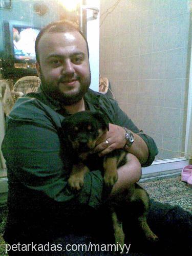 rİcky Erkek Rottweiler