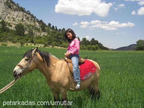 bulut Erkek 