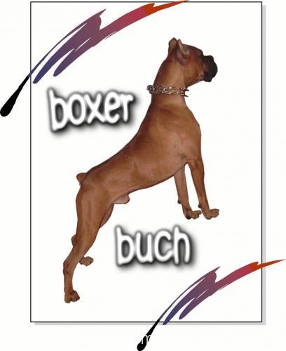 buch Erkek Boxer