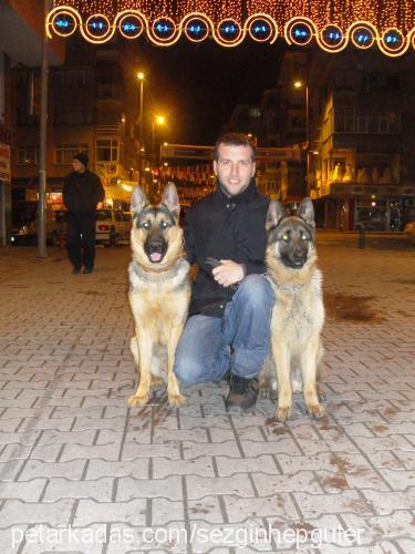 ruzgar Erkek Alman Çoban Köpeği