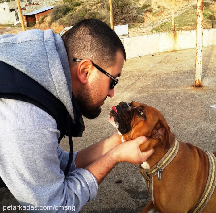 rıfkı Erkek Boxer