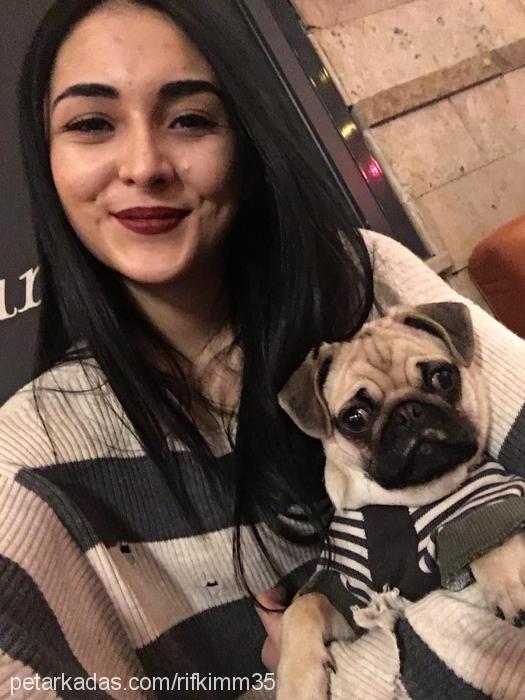 rıfkı Erkek Pug